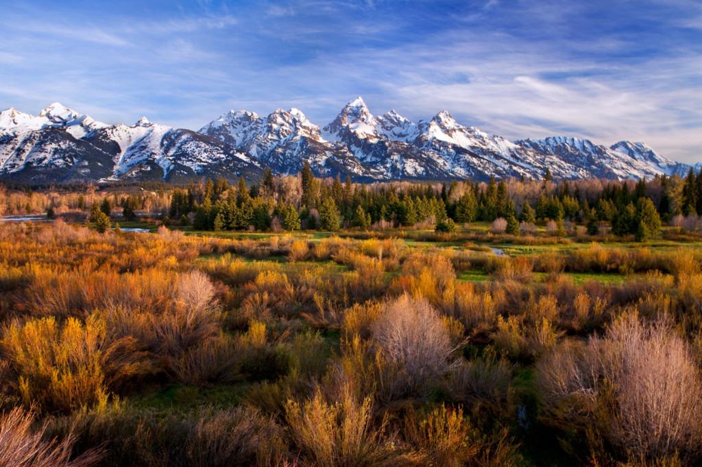 Terry Gentry Fine Art Photography - Blacktail Morning