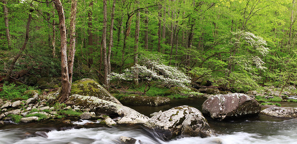 A-Time-to-Remember-Terry-Gentry-Fine-Art-Photography