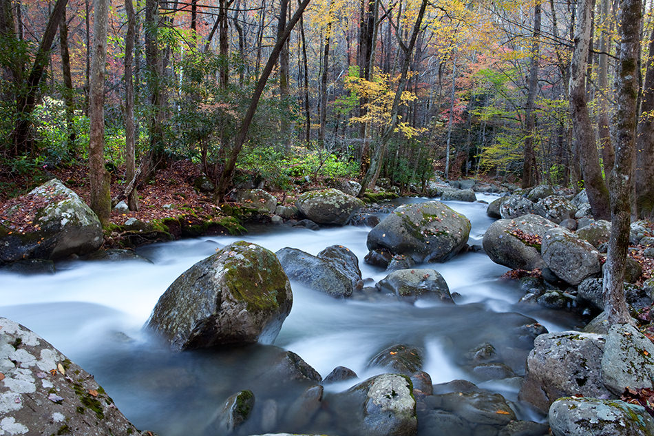 Fall-in-the-Greenbriar-Terry-Gentry-Fine-Art-Photography