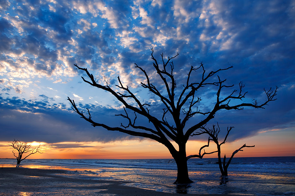 From-Heavens-Palette - Terry Gentry Fine Art Photography