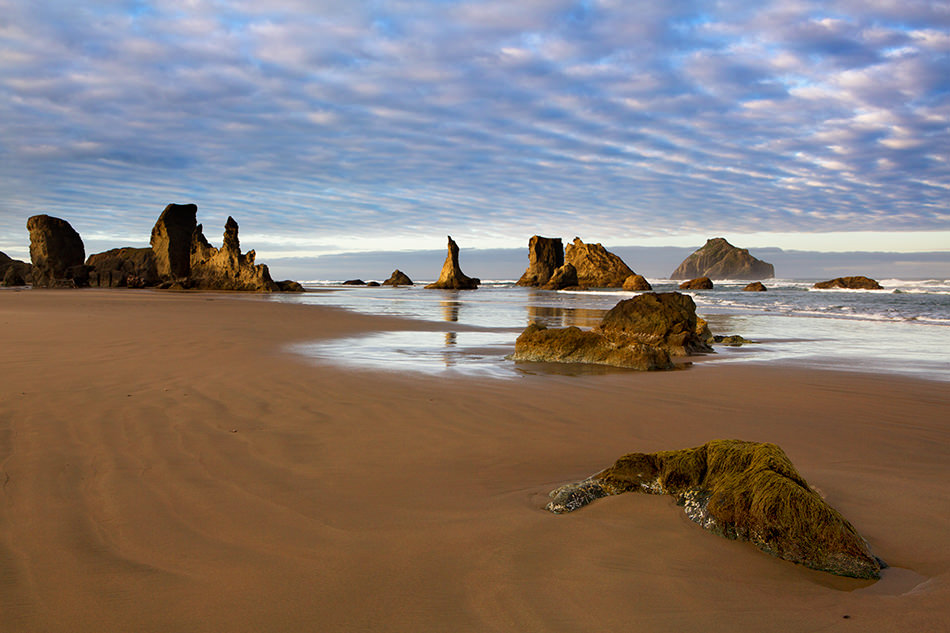 Morning-Walk - Terry Gentry Fine Art Photography