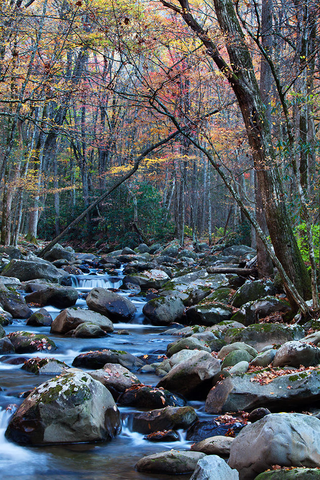 Smokey-Mountain-Silence-Terry-Gentry-Fine-Art-Photography