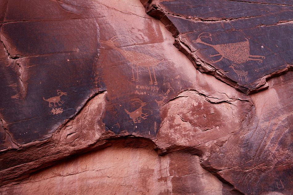 The-Message-Terry-Gentry-Fine-Art-Photography