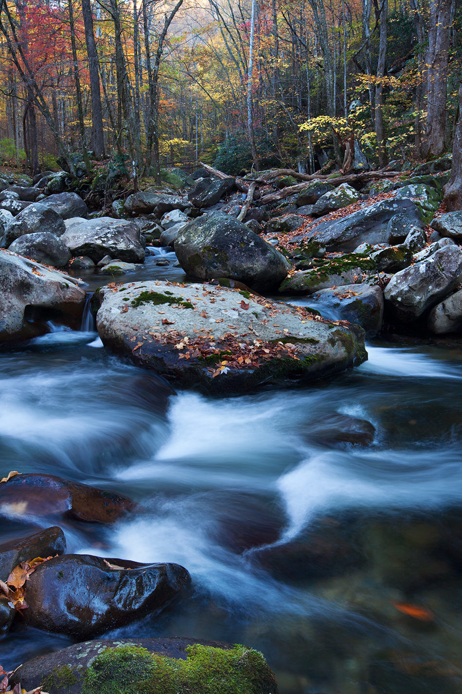 Transitions-Terry-Gentry-Fine-Art-Photography
